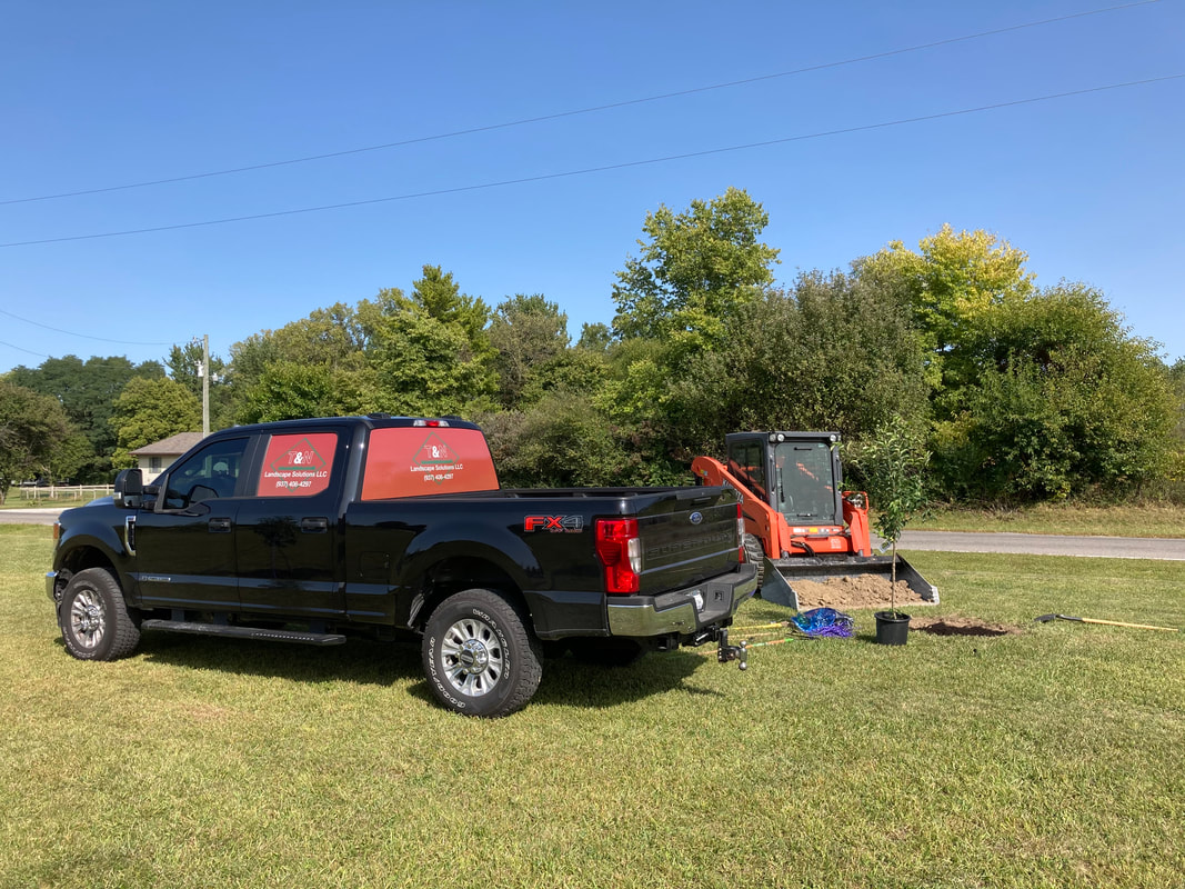 T&N Commercial Landscaper